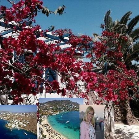 Magical Ornos! Beach House!Beach 1' Walk-Mykonos Town 2Km Esterno foto